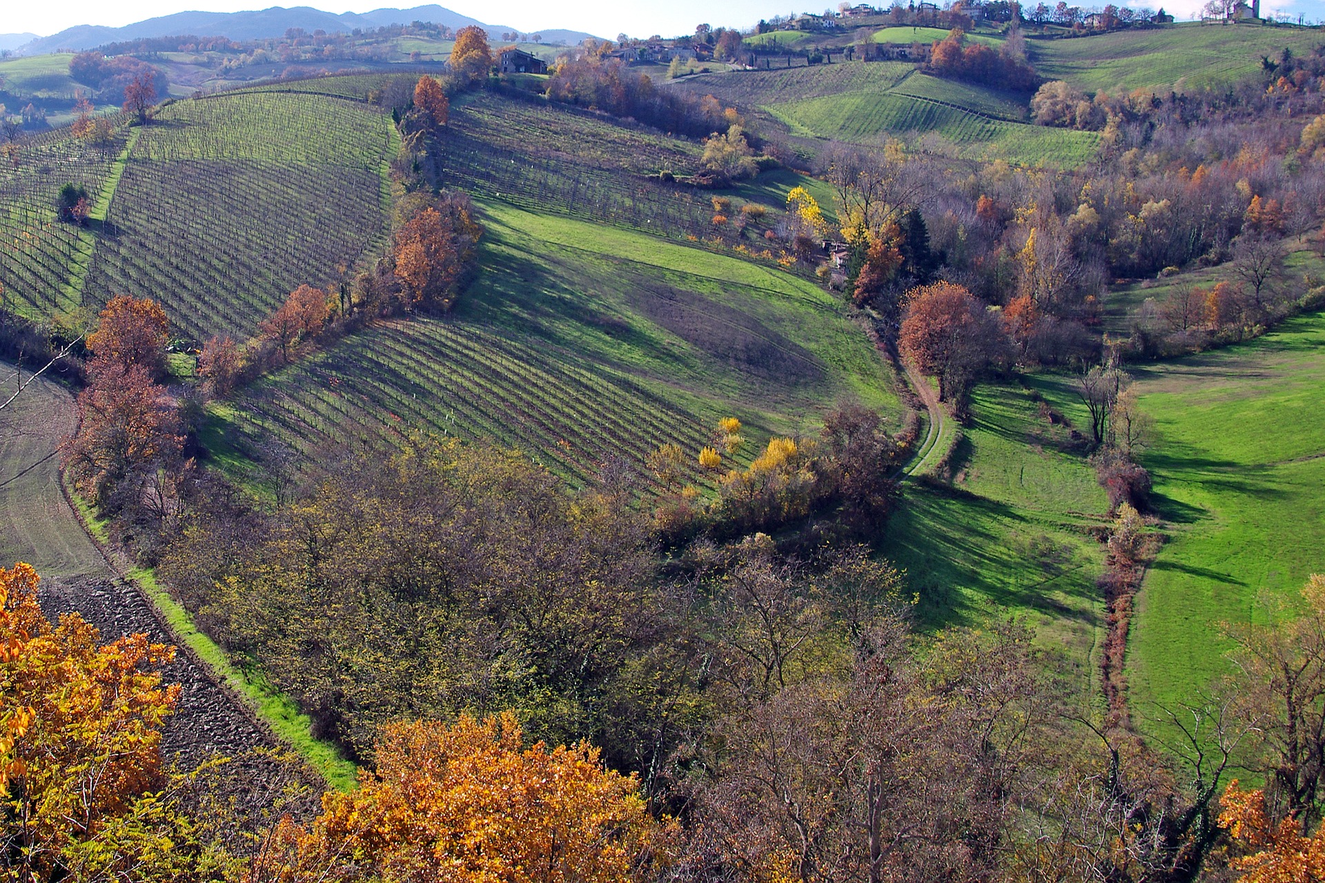 Landschaft Parma